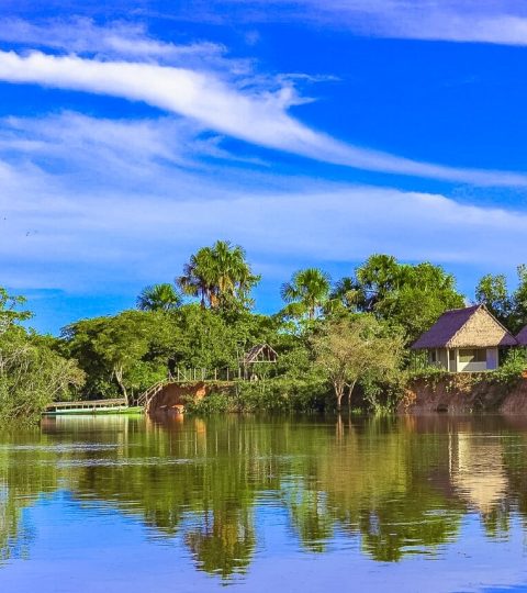 Iquitos Amazon Jungle