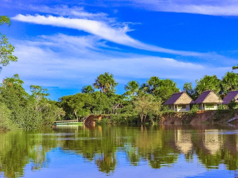 Iquitos Amazon Jungle