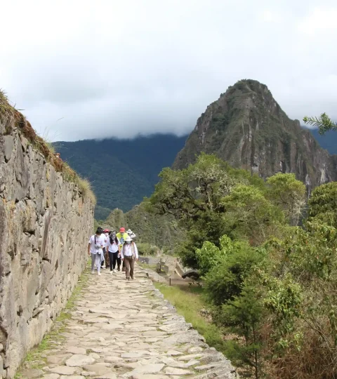 Machu Picchu Tours
