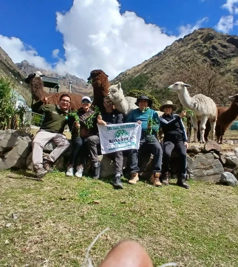 Perú Packages + Domes