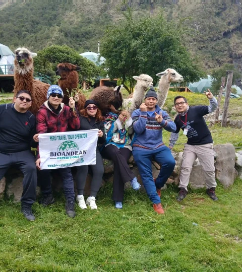 Salkantay Treks